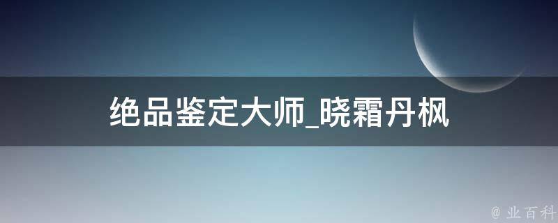 绝品鉴定大师