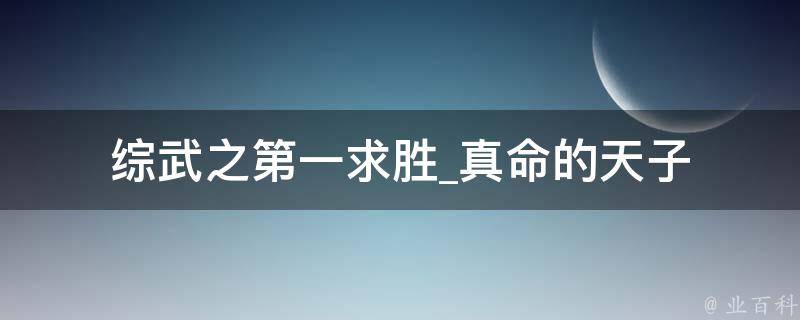 综武之第一求胜