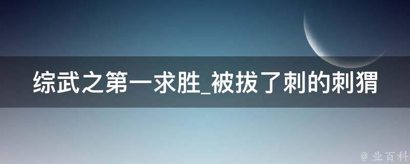 综武之第一求胜