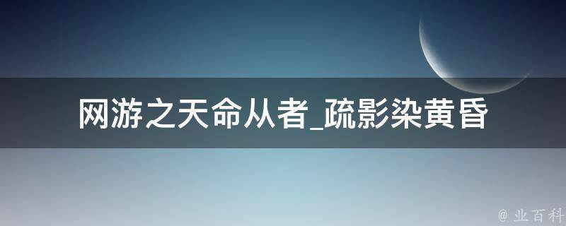 网游之天命从者