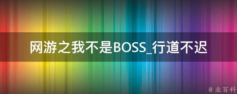 网游之我不是BOSS