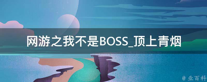 网游之我不是BOSS