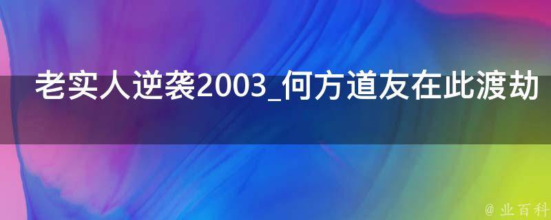 老实人逆袭2003