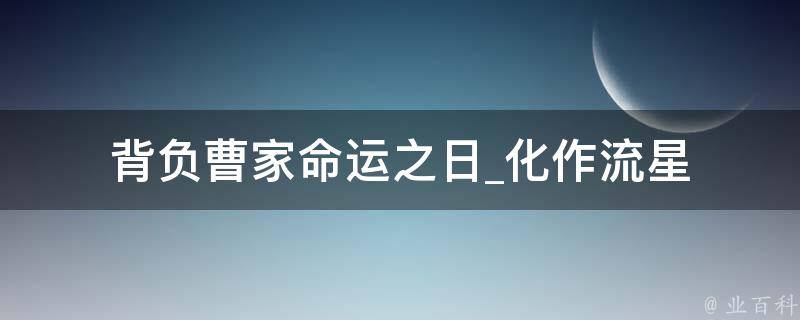 背负曹家命运之日