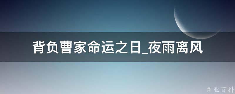 背负曹家命运之日