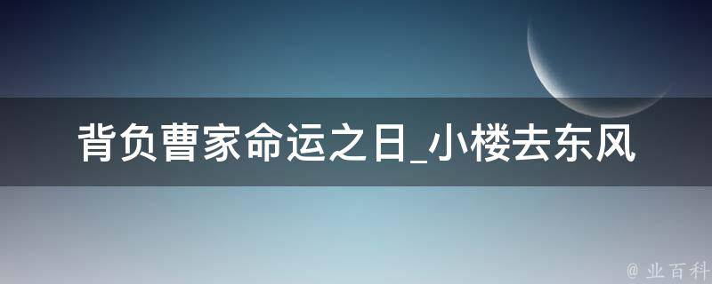 背负曹家命运之日