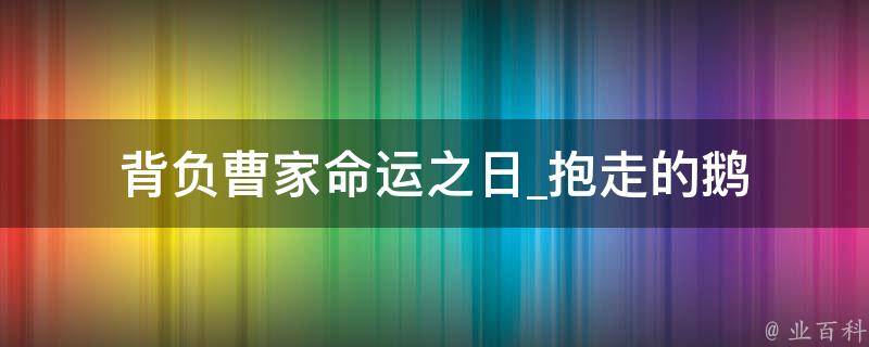 背负曹家命运之日