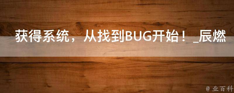 获得系统，从找到BUG开始！