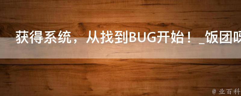 获得系统，从找到BUG开始！