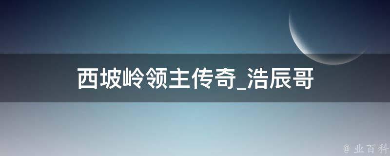 西坡岭领主传奇