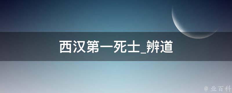 西汉第一死士