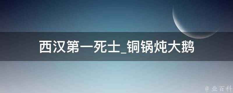 西汉第一死士