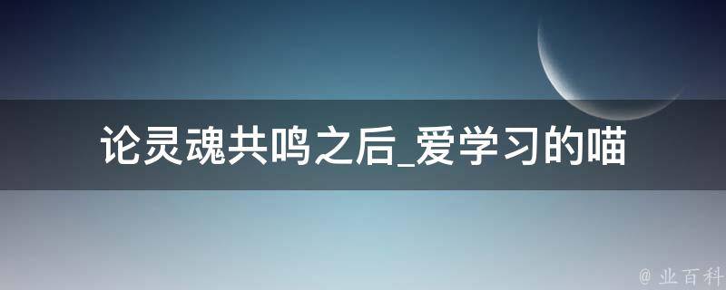 论灵魂共鸣之后