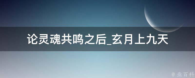 论灵魂共鸣之后