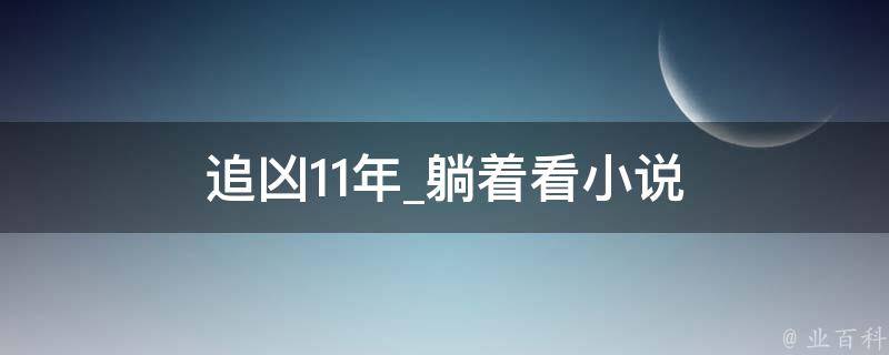 追凶11年