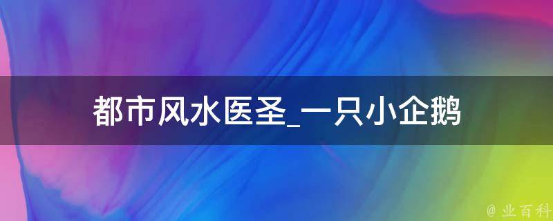 都市风水医圣