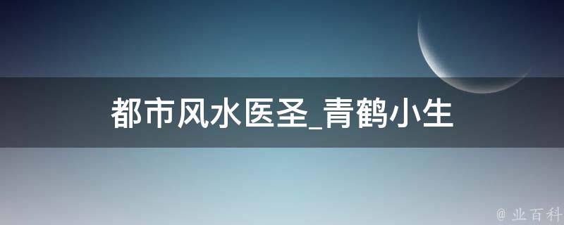 都市风水医圣