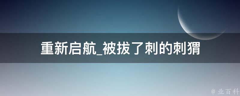 重新启航