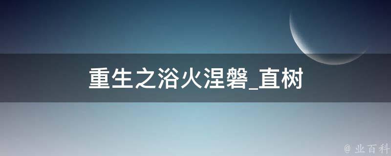 重生之浴火涅磐