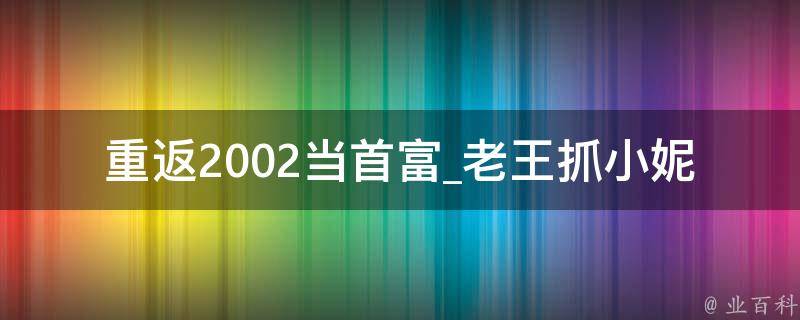 重返2002当首富