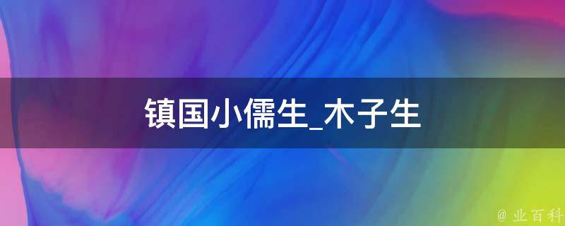 镇国小儒生