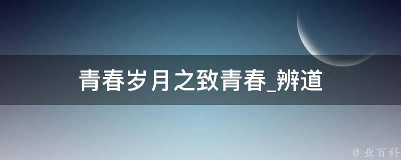 青春岁月之致青春