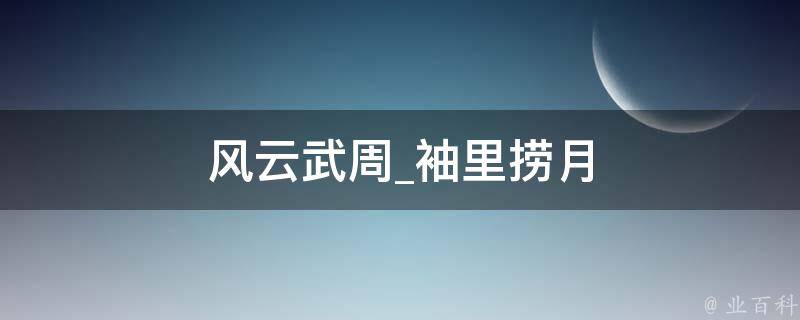 风云武周