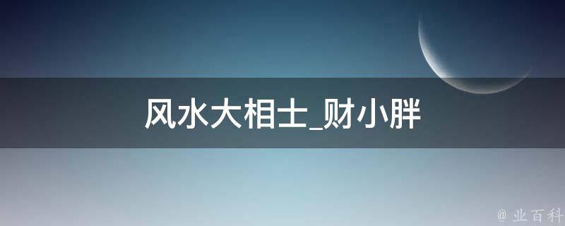 风水大相士