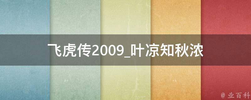 飞虎传2009