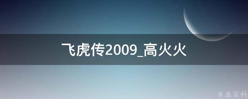 飞虎传2009