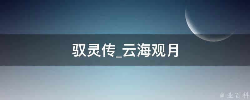 驭灵传