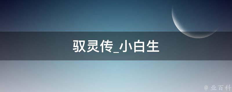 驭灵传