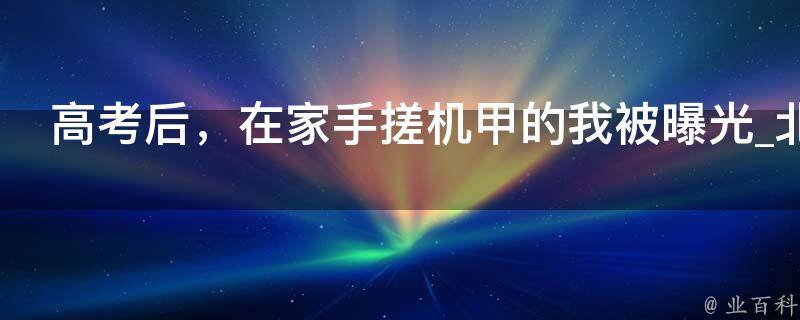 高考后，在家手搓机甲的我被曝光