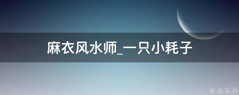 麻衣风水师