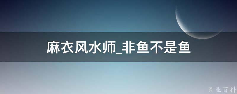 麻衣风水师