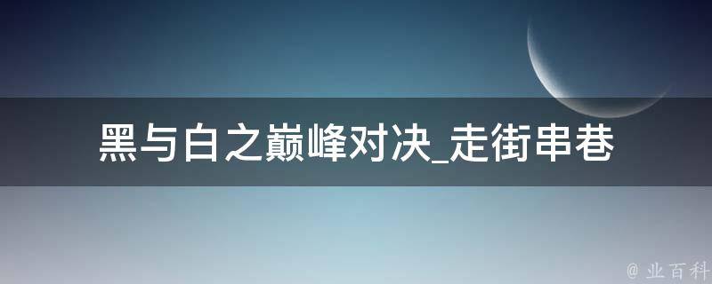 黑与白之巅峰对决