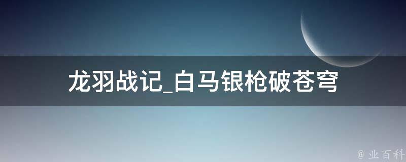 龙羽战记