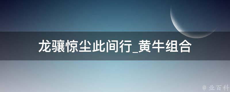 龙骧惊尘此间行